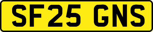 SF25GNS