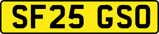SF25GSO