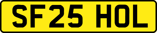 SF25HOL