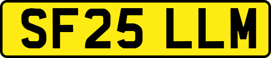 SF25LLM