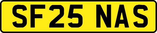 SF25NAS