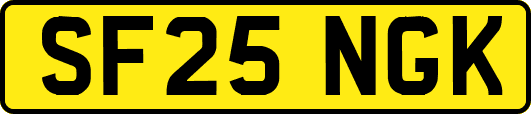 SF25NGK