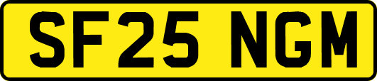 SF25NGM