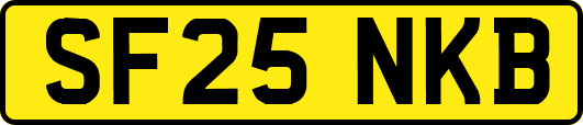 SF25NKB