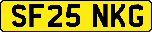 SF25NKG