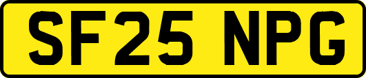 SF25NPG