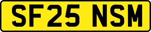 SF25NSM