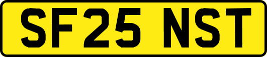 SF25NST