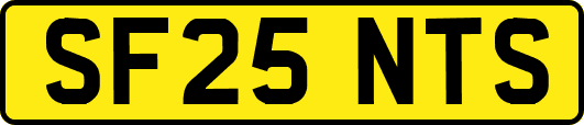 SF25NTS