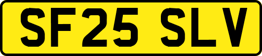 SF25SLV