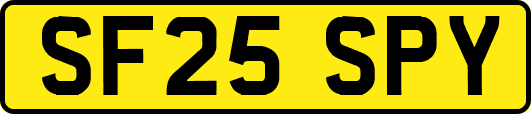 SF25SPY
