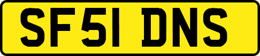 SF51DNS