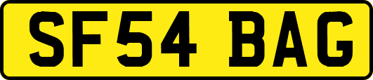 SF54BAG