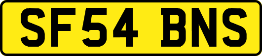 SF54BNS