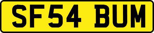 SF54BUM