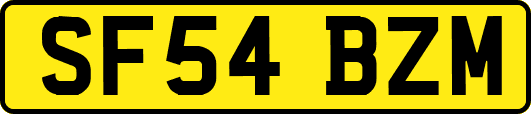 SF54BZM