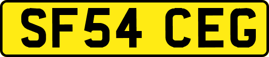 SF54CEG