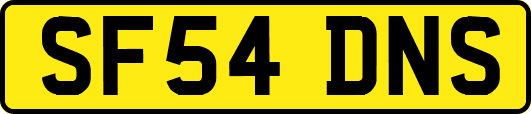 SF54DNS