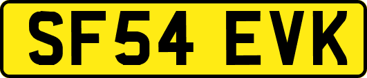 SF54EVK