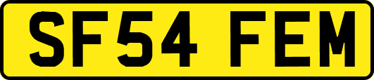 SF54FEM