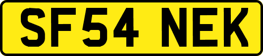 SF54NEK