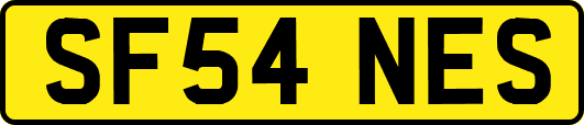 SF54NES