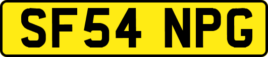 SF54NPG