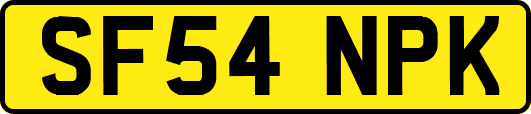 SF54NPK