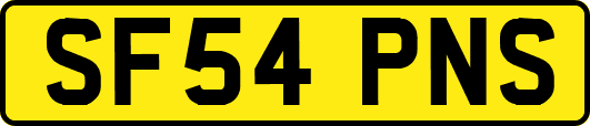 SF54PNS