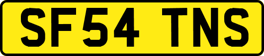 SF54TNS