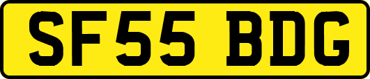 SF55BDG