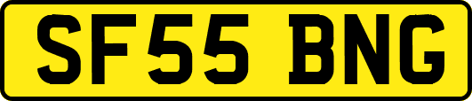 SF55BNG
