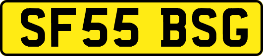 SF55BSG