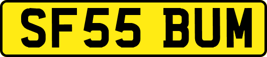 SF55BUM