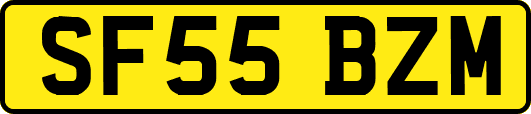 SF55BZM