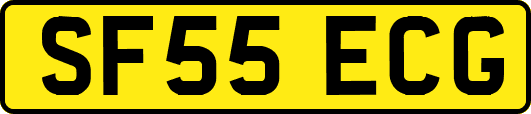SF55ECG