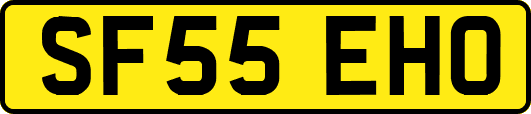 SF55EHO
