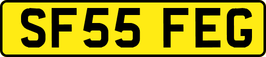 SF55FEG