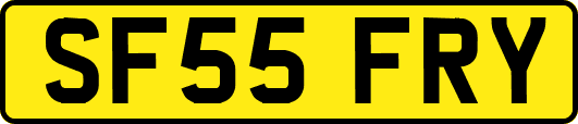 SF55FRY