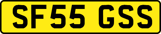 SF55GSS