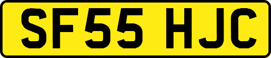SF55HJC