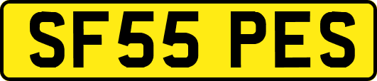SF55PES