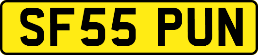 SF55PUN