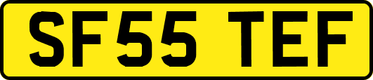 SF55TEF