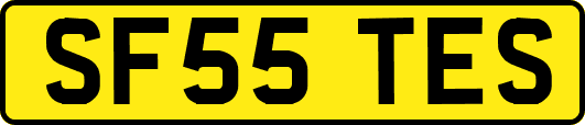 SF55TES