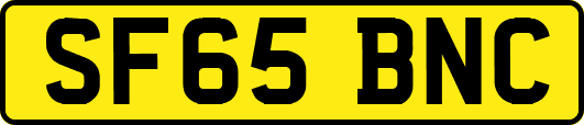 SF65BNC