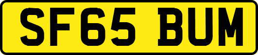 SF65BUM