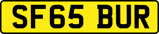 SF65BUR