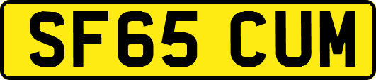 SF65CUM