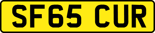 SF65CUR